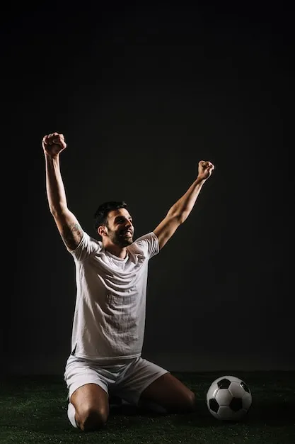 开云体育 App 界面